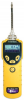 MiniRAE 3000 PID Rental