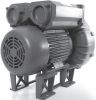 Rotron EN979 Regenerative Blowers